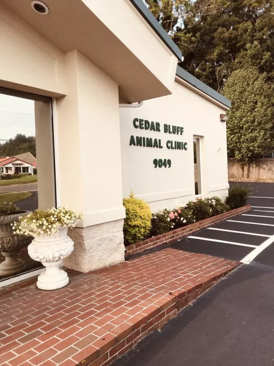 Cedar Bluff Animal Clinic, Tennessee, Knoxville